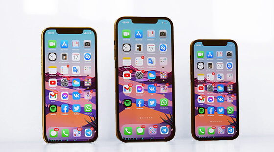 不判断SSL证书是否已经过期