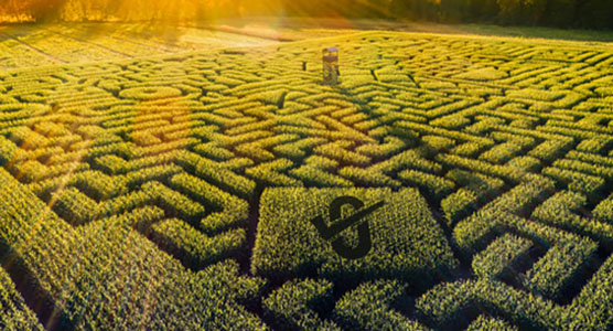 零信任安全的四大误区